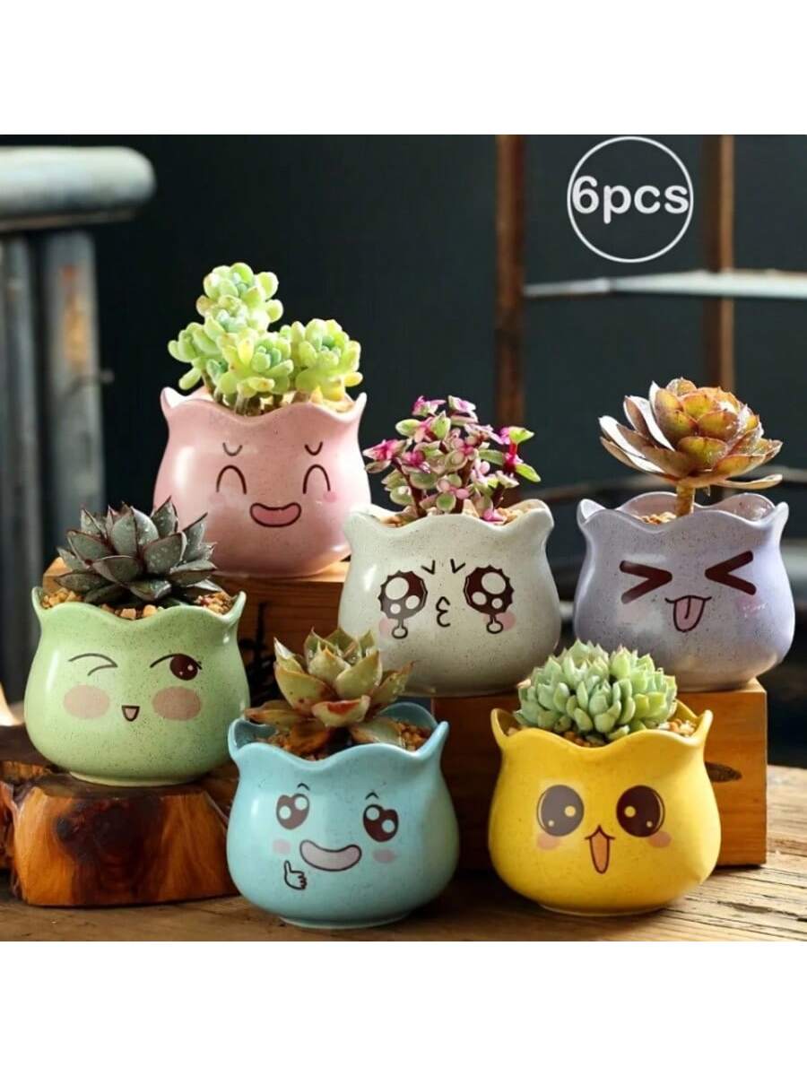 6pcs/set Cartoon Cute Ceramic  - огляд і ціна Echeveria Succulent