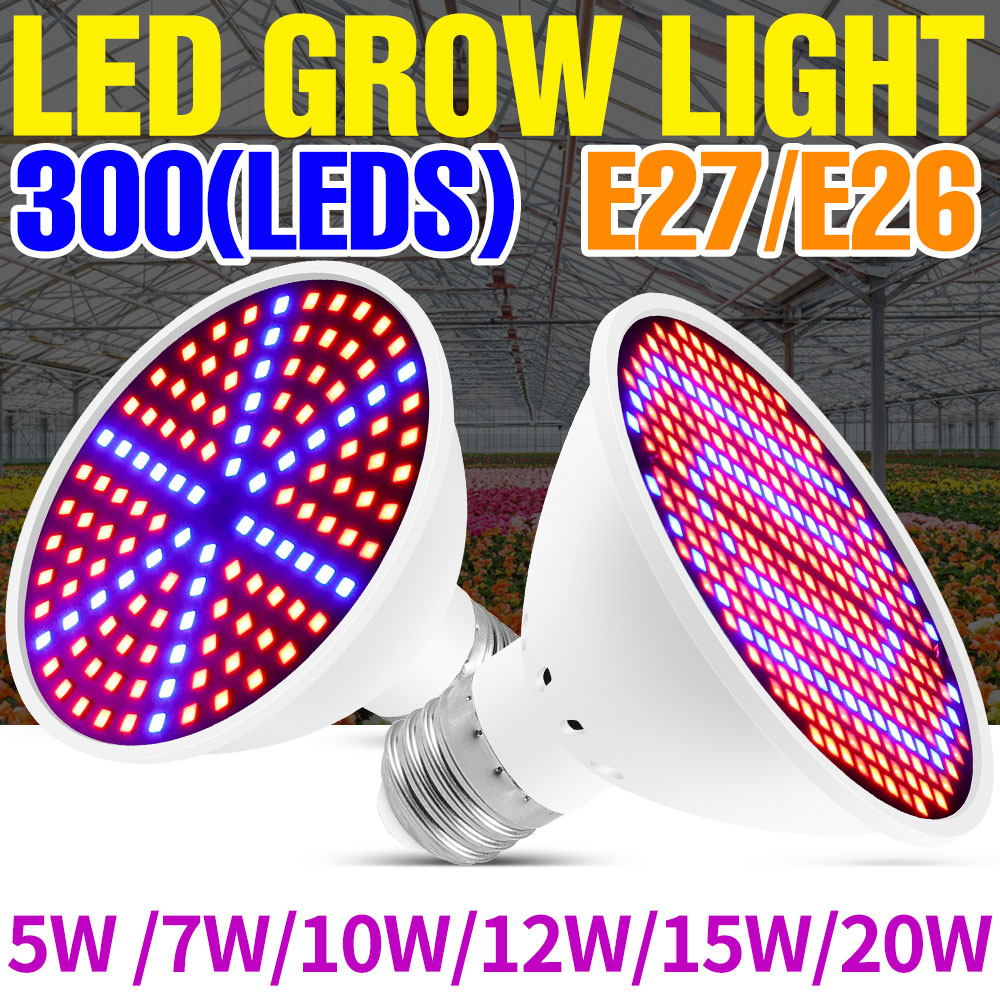 25W E27 Full Spectrum LED Plan - огляд і ціна Echeveria Succulent